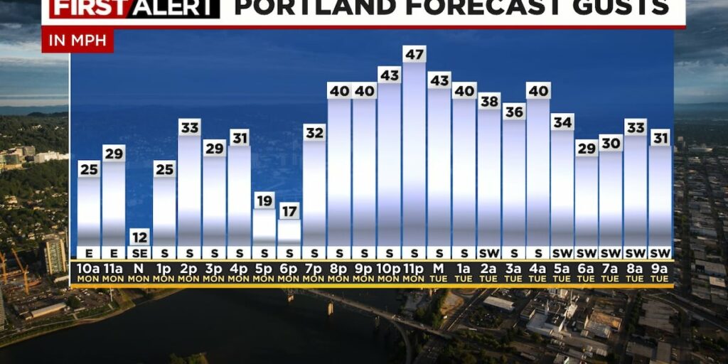 puget sound power outage