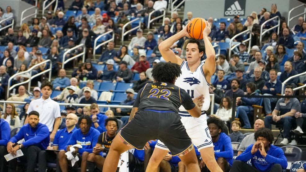 san jose state basketball