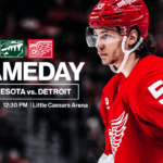 wild vs red wings